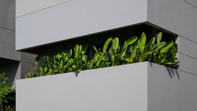 Bao My ca tung ngoi nha xanh giua rung be tong o Nha Trang-Hinh-10