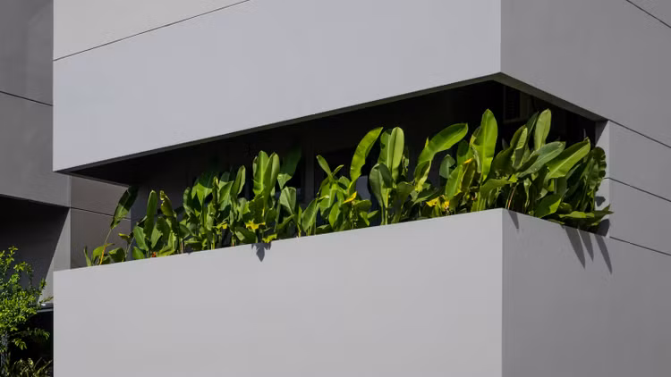 Bao My ca tung ngoi nha xanh giua rung be tong o Nha Trang-Hinh-10