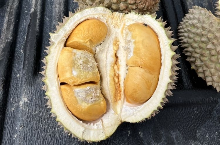 3 loai sau rieng dat do bac nhat hanh tinh-Hinh-10