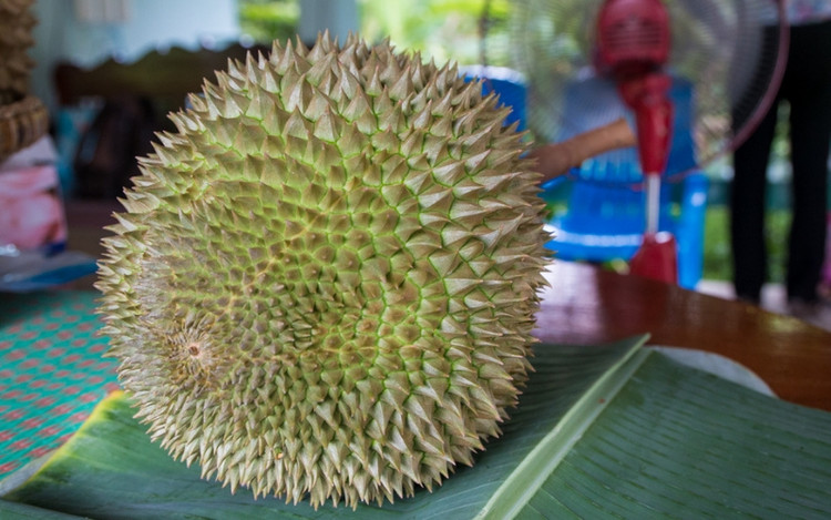 3 loai sau rieng dat do bac nhat hanh tinh-Hinh-9