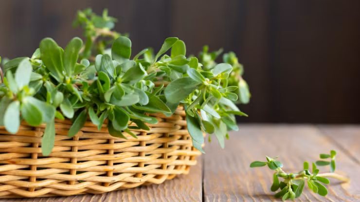 3 rau dai o Viet Nam thanh “than duoc” dat gia o nuoc ngoai-Hinh-5