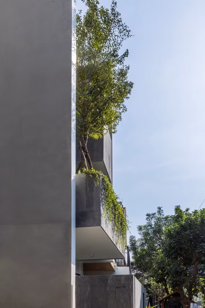 Kham pha nha pho ngap sac xanh dep hut mat o Phu Tho-Hinh-4