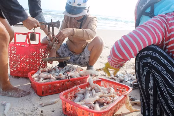 Bat ngo loai ca xua lon an nay trieu dong/kg khach tranh nhau mua-Hinh-8