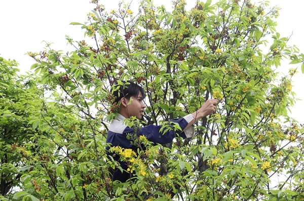 Nhung cong viec “hai ra tien” sau Tet Nguyen dan-Hinh-9