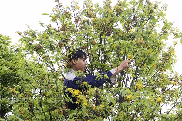 Nhung cong viec “hai ra tien” sau Tet Nguyen dan-Hinh-9