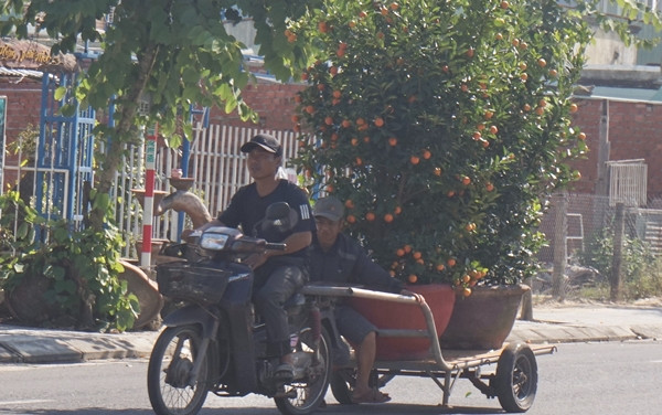 Nhung cong viec “hai ra tien” sau Tet Nguyen dan-Hinh-6