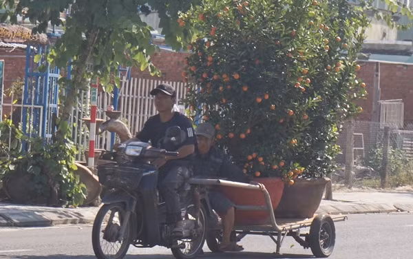 Nhung cong viec “hai ra tien” sau Tet Nguyen dan-Hinh-6