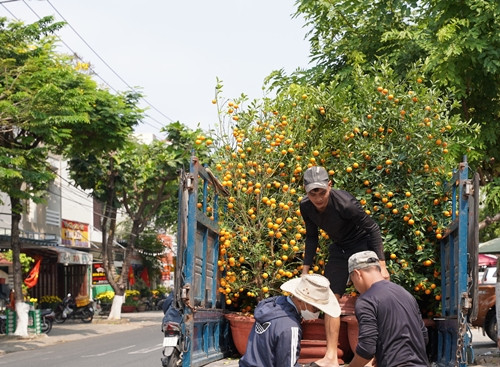 Nhung cong viec “hai ra tien” sau Tet Nguyen dan-Hinh-5