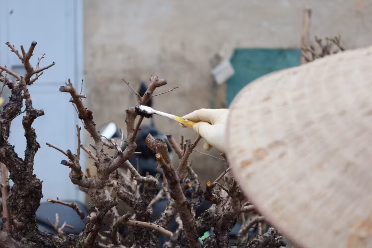 Nhung cong viec “hai ra tien” sau Tet Nguyen dan-Hinh-3