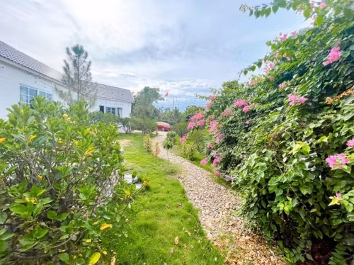 Can canh biet thu nha vuon o que cua “Nam Tao” Do Duy Nam-Hinh-4