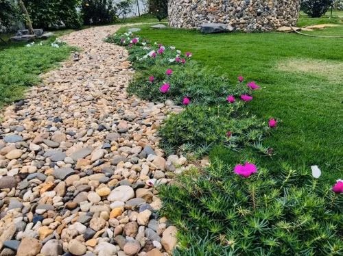 Can canh biet thu nha vuon o que cua “Nam Tao” Do Duy Nam-Hinh-7