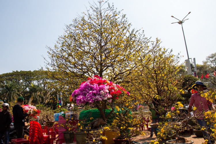 Nhung “lao mai” tien ty xon xao thi truong Tet 2024-Hinh-8