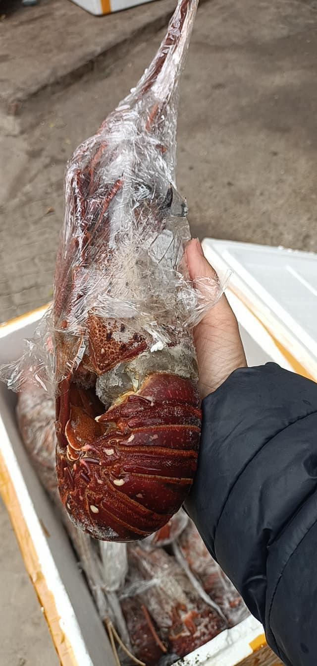 Su that dang sau duoi tom hum Uc gia re “do bo” cho mang-Hinh-6