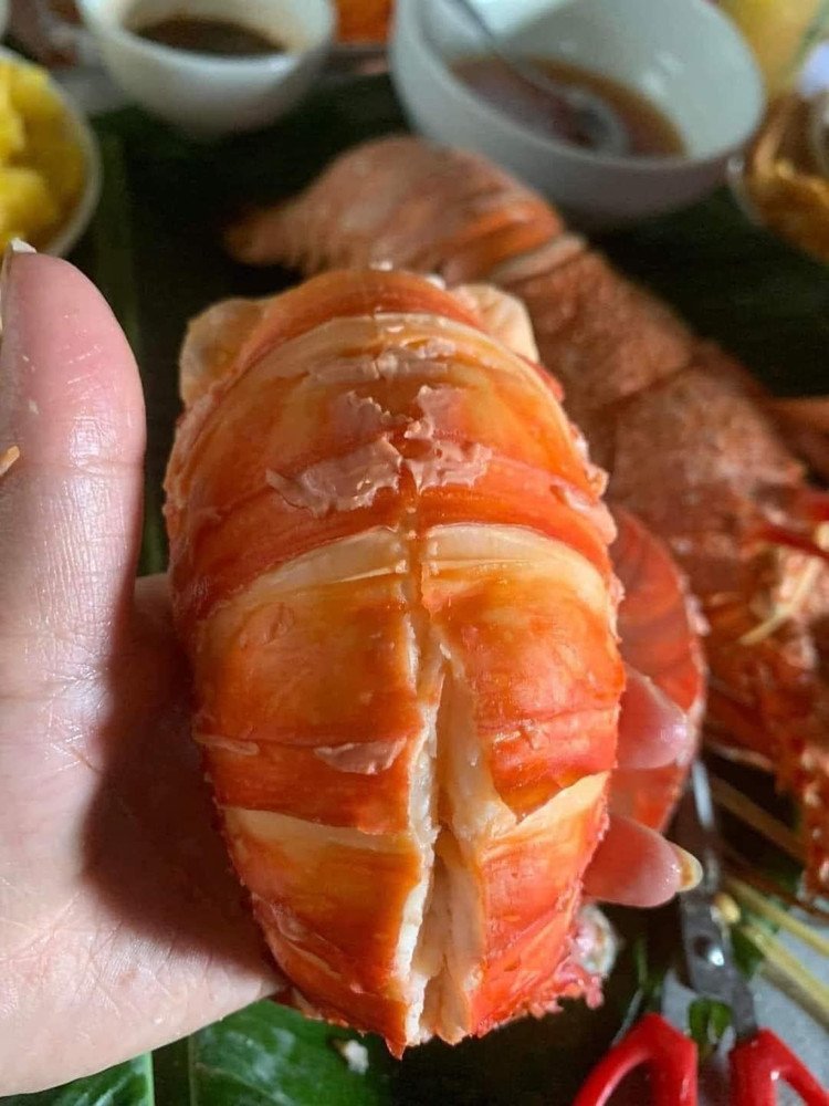 Su that dang sau duoi tom hum Uc gia re “do bo” cho mang-Hinh-3