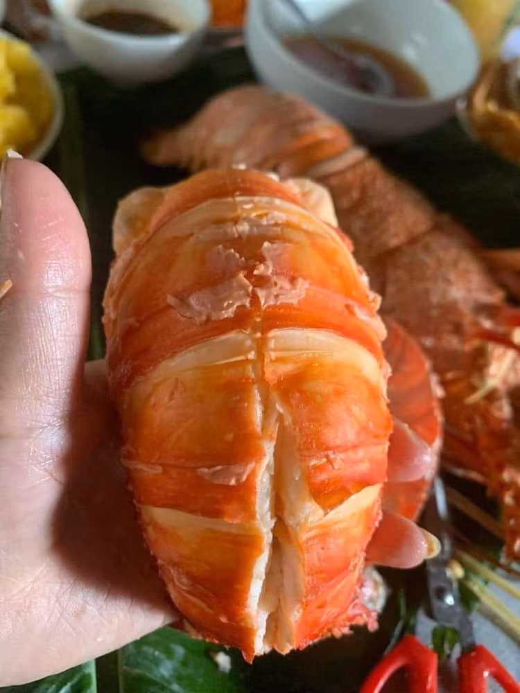 Su that dang sau duoi tom hum Uc gia re “do bo” cho mang-Hinh-3