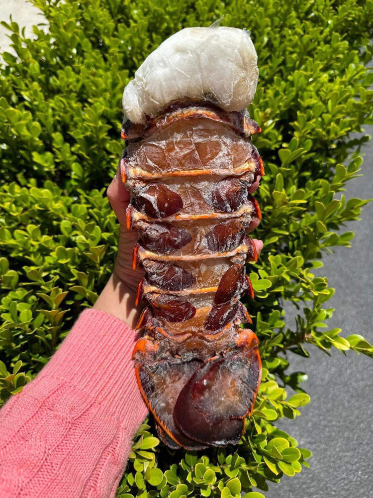 Su that dang sau duoi tom hum Uc gia re “do bo” cho mang-Hinh-4