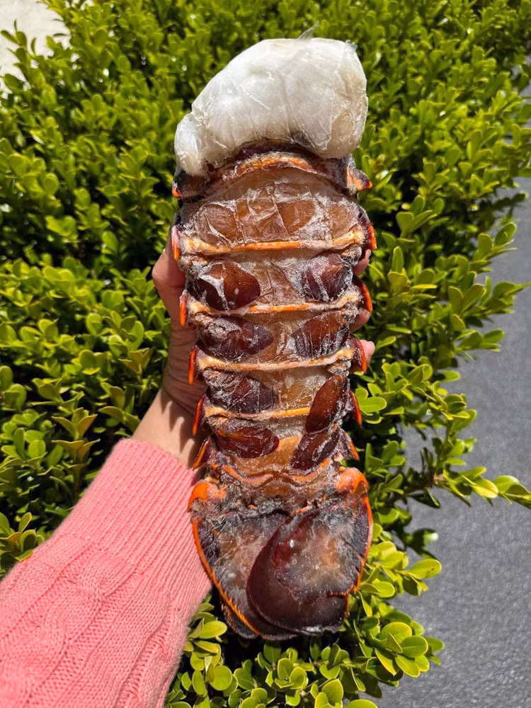 Su that dang sau duoi tom hum Uc gia re “do bo” cho mang-Hinh-4