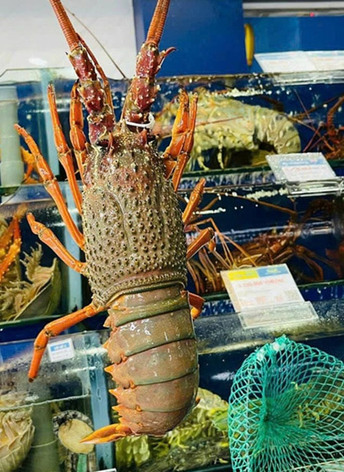 Su that dang sau duoi tom hum Uc gia re “do bo” cho mang-Hinh-9