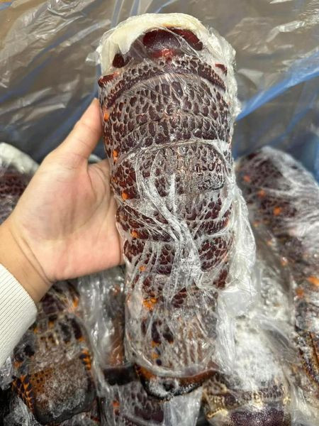 Su that dang sau duoi tom hum Uc gia re “do bo” cho mang-Hinh-2