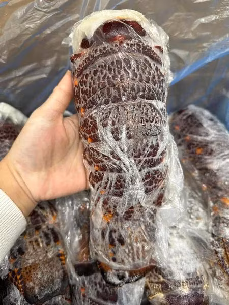 Su that dang sau duoi tom hum Uc gia re “do bo” cho mang-Hinh-2