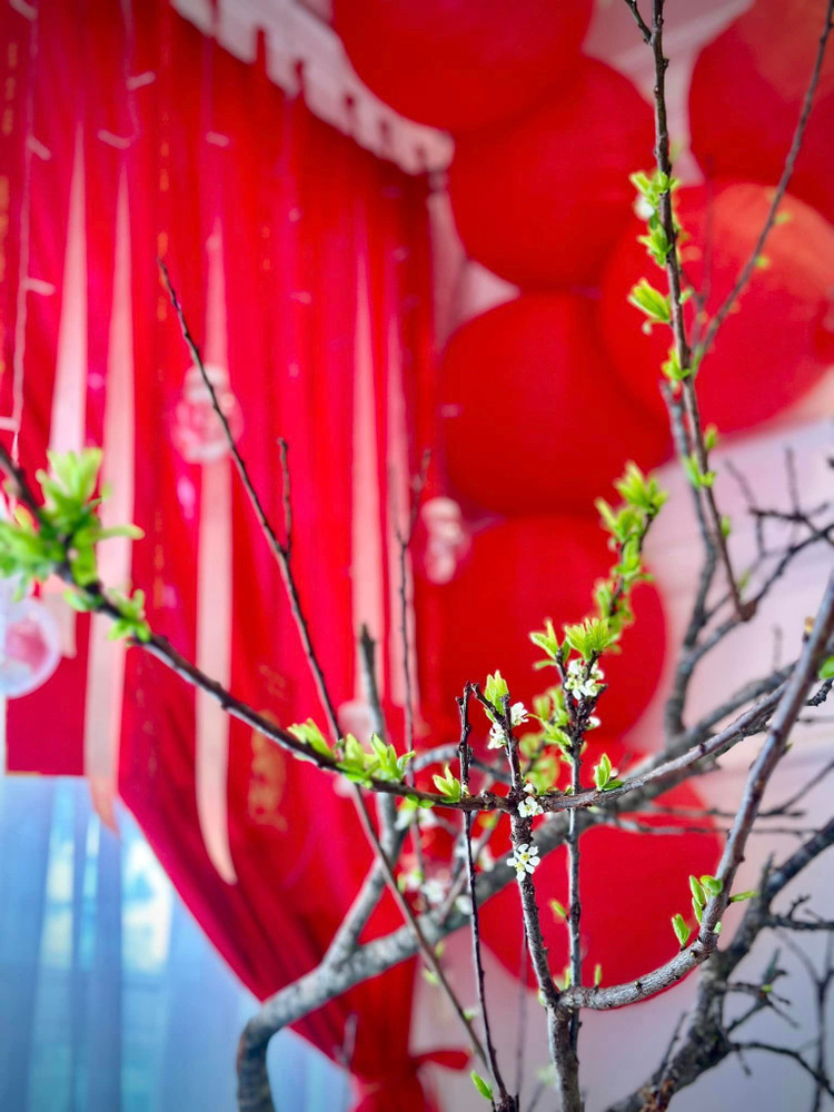 Ben trong biet thu do ruc don Tet cua sieu mau Thuy Hanh-Hinh-12