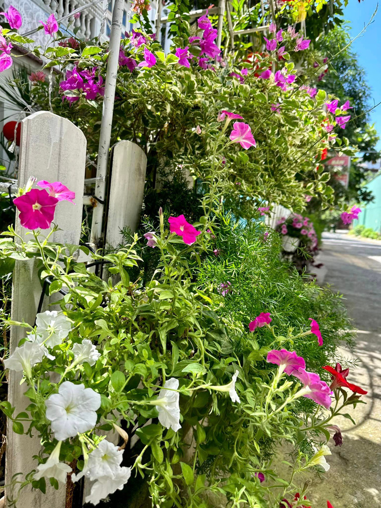 Ngam khu vuon loc la sum sue trong biet thu cua Vy Oanh-Hinh-10