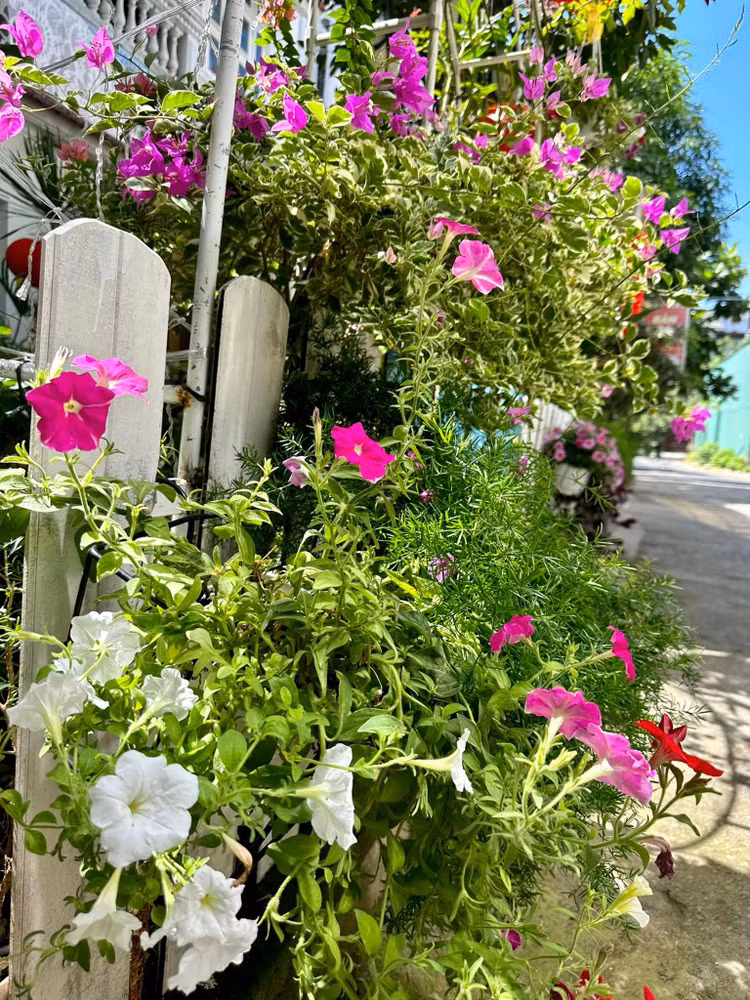 Ngam khu vuon loc la sum sue trong biet thu cua Vy Oanh-Hinh-10