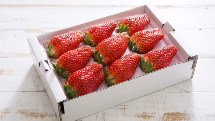 Dau tay gan 10 trieu dong/qua van un un nguoi mua-Hinh-7