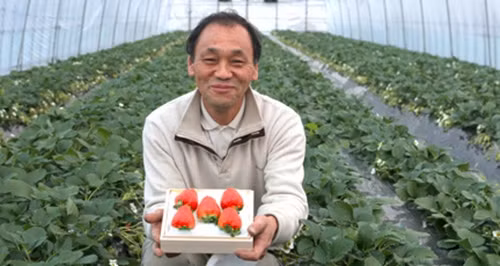 Dau tay gan 10 trieu dong/qua van un un nguoi mua-Hinh-5