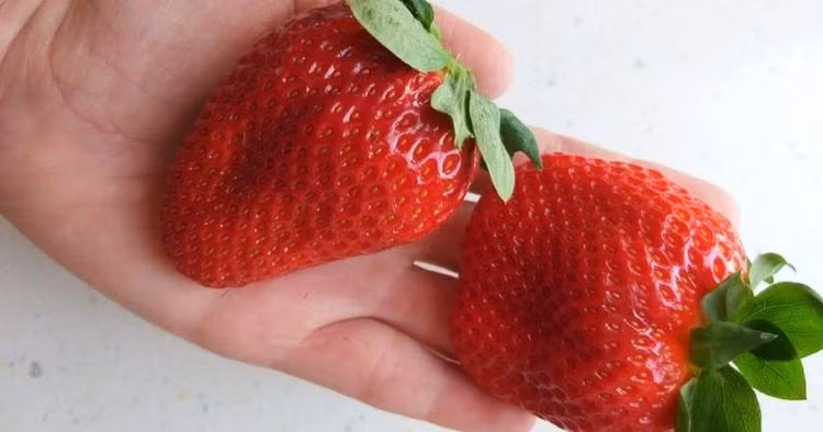 Dau tay gan 10 trieu dong/qua van un un nguoi mua-Hinh-2