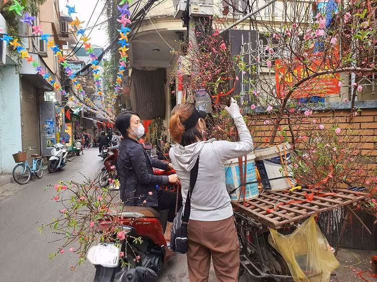 Dao, quat mini bat ngo “dat nhu tom tuoi” ngay can Tet
