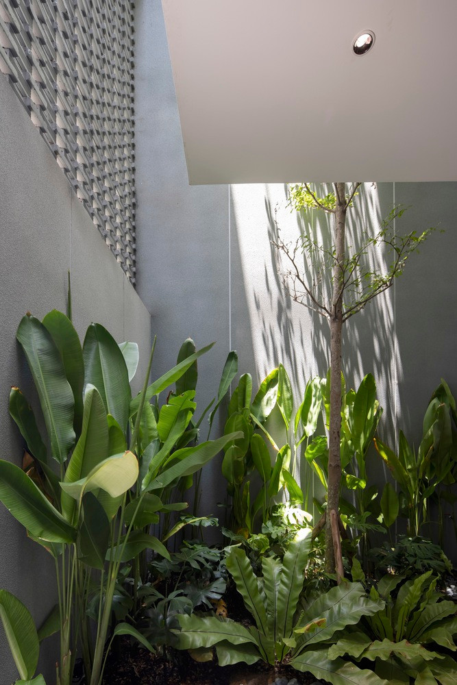 Thiet ke vo nhiet doi, nha Da Nang khien bao My kinh ngac-Hinh-5