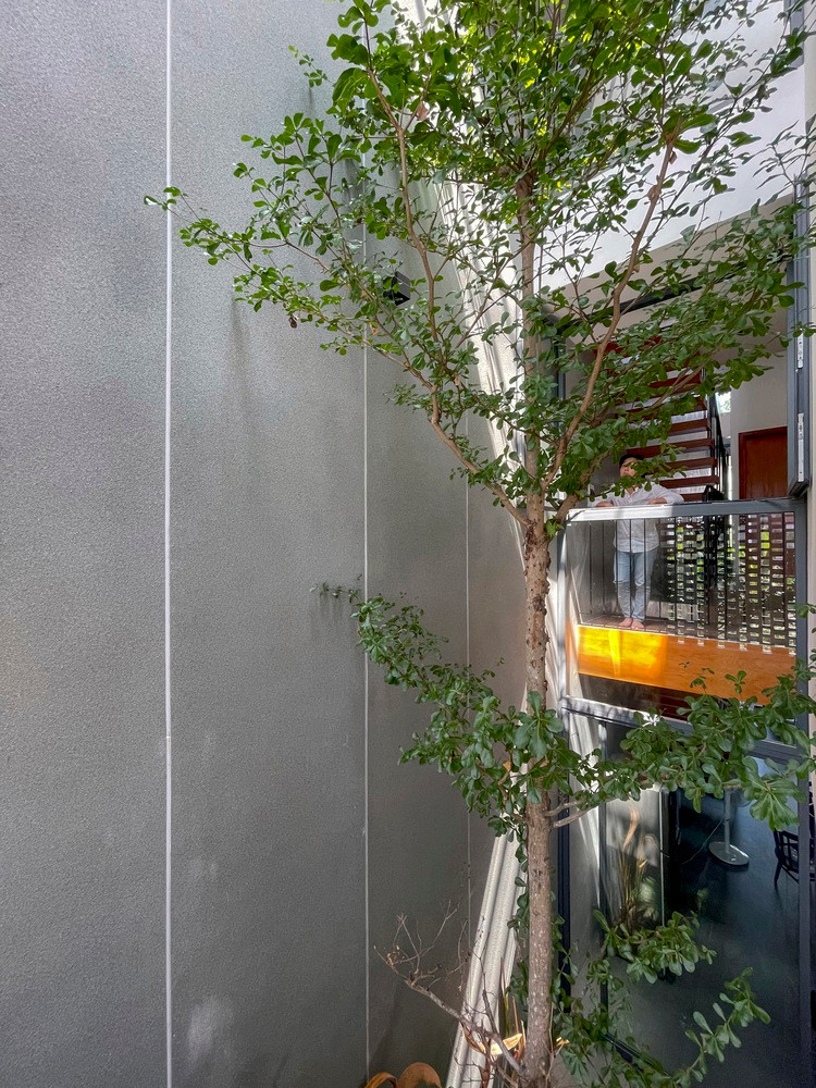 Thiet ke vo nhiet doi, nha Da Nang khien bao My kinh ngac-Hinh-10