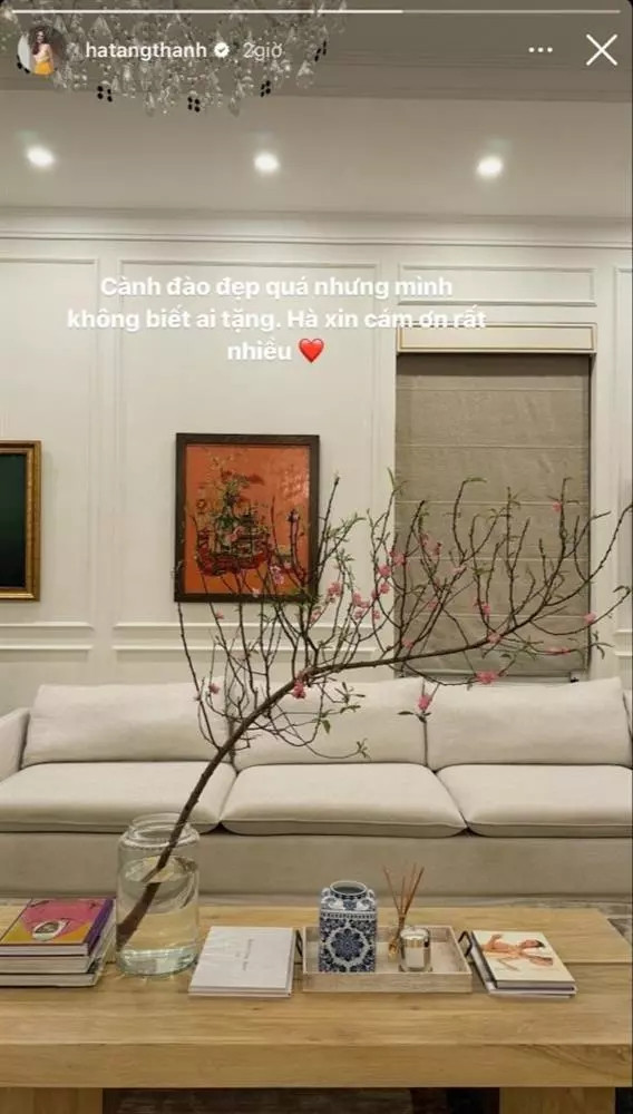 Don Tet, biet thu cua Tang Thanh Ha trang tri dep co nao?-Hinh-6