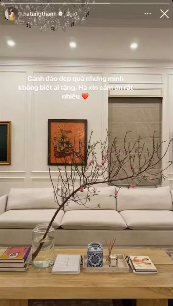 Don Tet, biet thu cua Tang Thanh Ha trang tri dep co nao?-Hinh-6