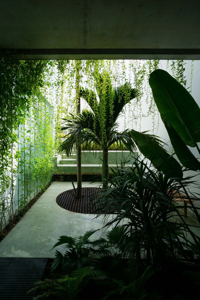 Xanh muot tu ngoai vao trong, nha Da Nang khien bao ngoai “nga mu“-Hinh-9