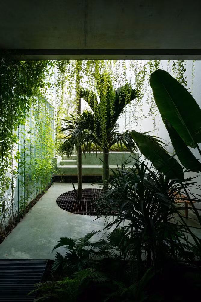 Xanh muot tu ngoai vao trong, nha Da Nang khien bao ngoai “nga mu“-Hinh-9