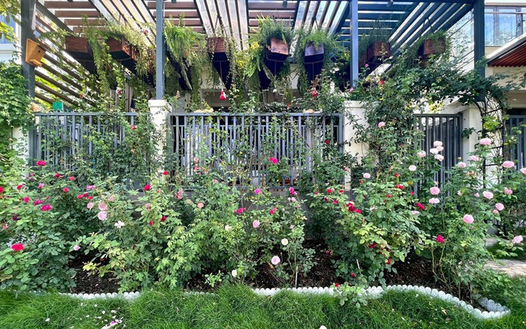 Me man ho ca Koi tuyet dep trong biet thu cua Van Hugo-Hinh-10