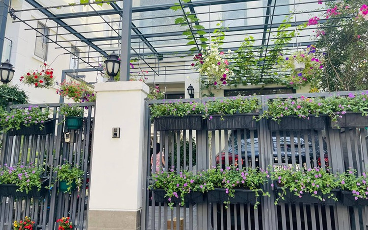 Me man ho ca Koi tuyet dep trong biet thu cua Van Hugo-Hinh-8