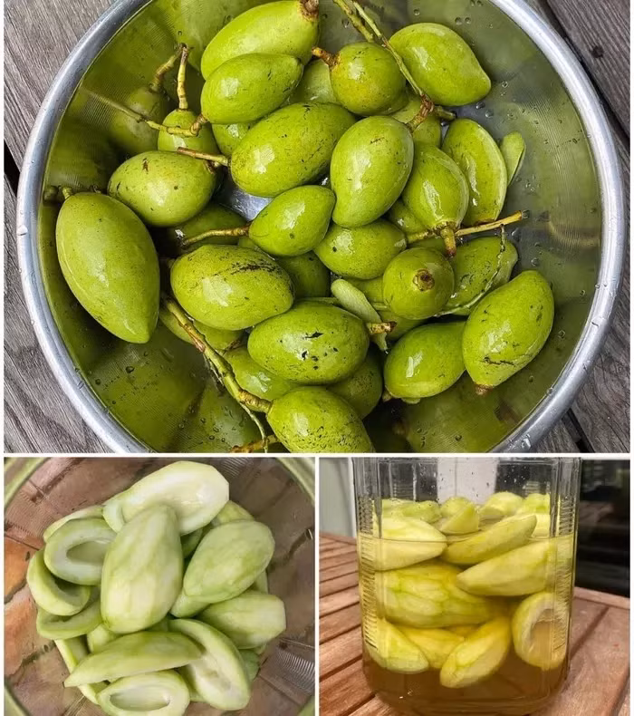 Moi mat ngam khu vuon “boi thu” trong biet thu cua Tang Thanh Ha-Hinh-11