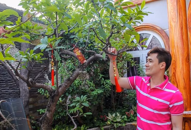 Can canh biet thu 200 ty cua ca si Khanh Phuong-Hinh-8