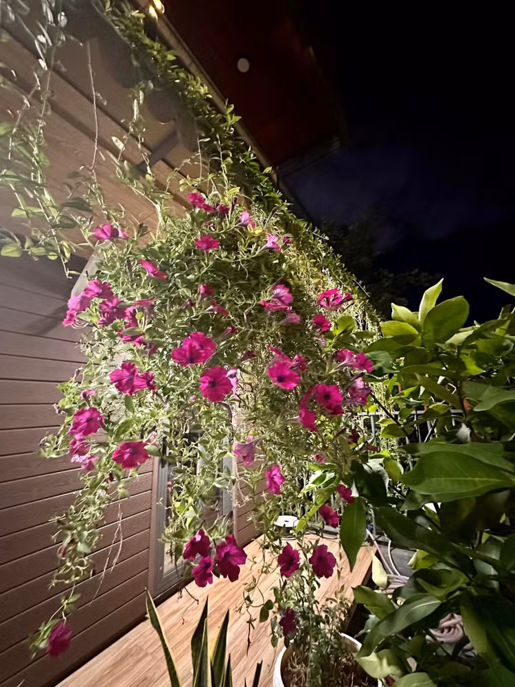 Kham pha hai can biet thu nghin met vuong cua Vy Oanh-Hinh-9