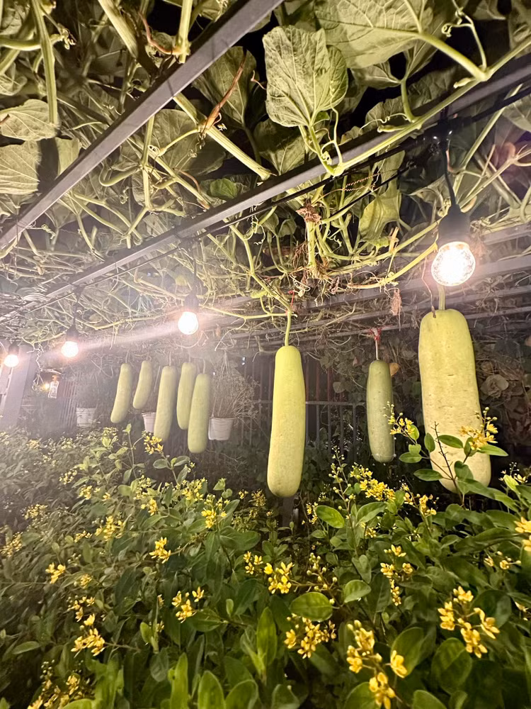 Kham pha hai can biet thu nghin met vuong cua Vy Oanh-Hinh-12