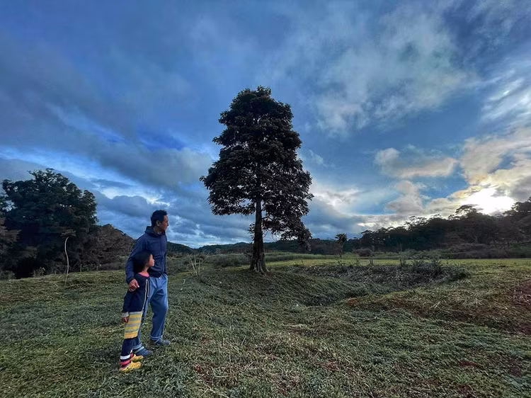 Cận cảnh nông trại nghìn mét vuông của Lý Hải - Minh Hà - Hình 11 Can canh nong trai nghin met vuong cua Ly Hai - Minh Ha-Hinh-11