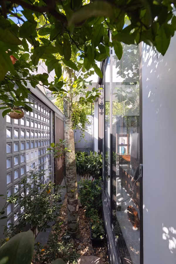 Nha pho ngoi do dan xen khoang vuon xanh mat dep ngo ngang-Hinh-12