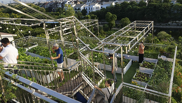 Can canh vuon rau 300m2 tren noc biet thu giua Ha Noi-Hinh-12