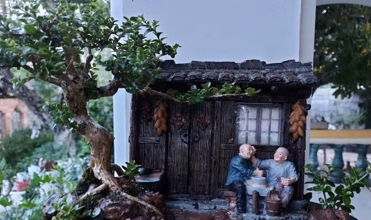 Bo suu tap bonsai mini ky luc the gioi cua lao nong Nha Trang-Hinh-8