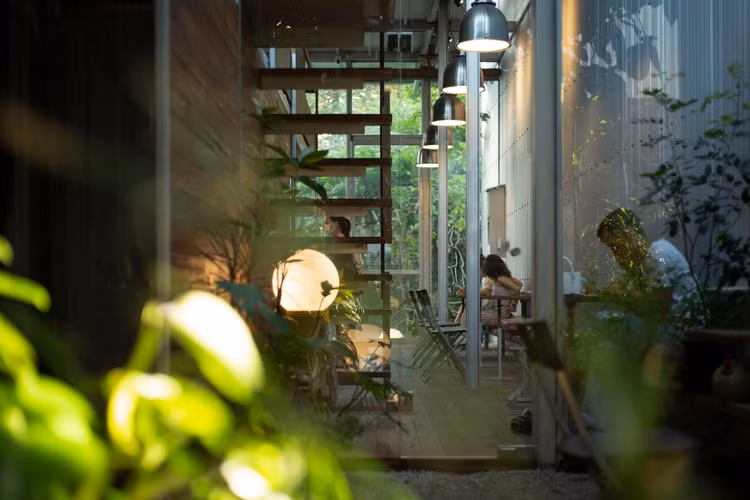 Quan ca phe ngap tran cay xanh giua xu Hue mong mo-Hinh-10