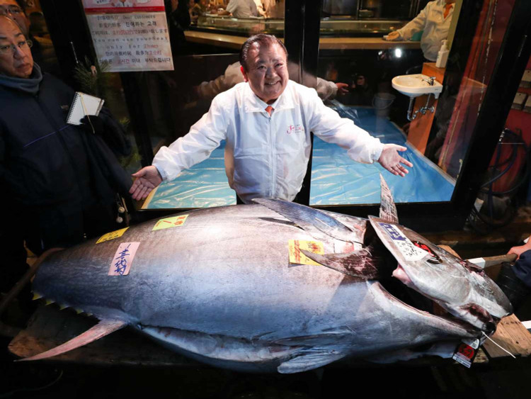 Con ca duoc dai gia mua voi gia 19 ty co gi dac biet?-Hinh-7