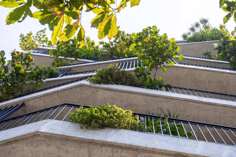 Bao My kinh ngac toa nha phu hang nghin cay xanh o Da Nang-Hinh-9